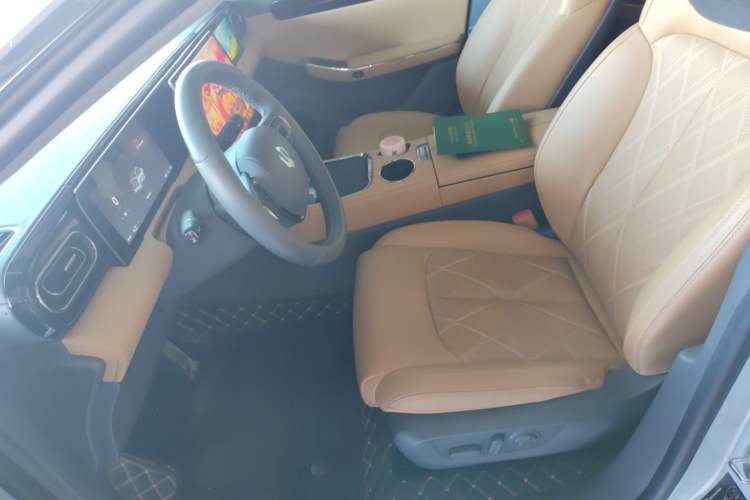 Used Leapmotor C01 2024 Pure Electric 525 Luxury Edition Left Front Seat
