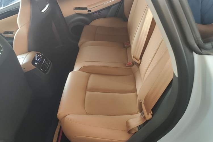 Used Leapmotor C01 2024 Pure Electric 525 Luxury Edition Left Rear Seat