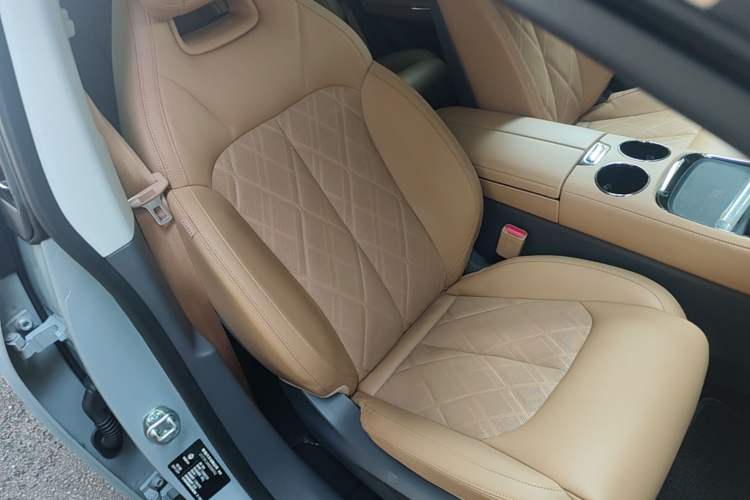 Used Leapmotor C01 2024 Pure Electric 525 Luxury Edition Right Front Seat