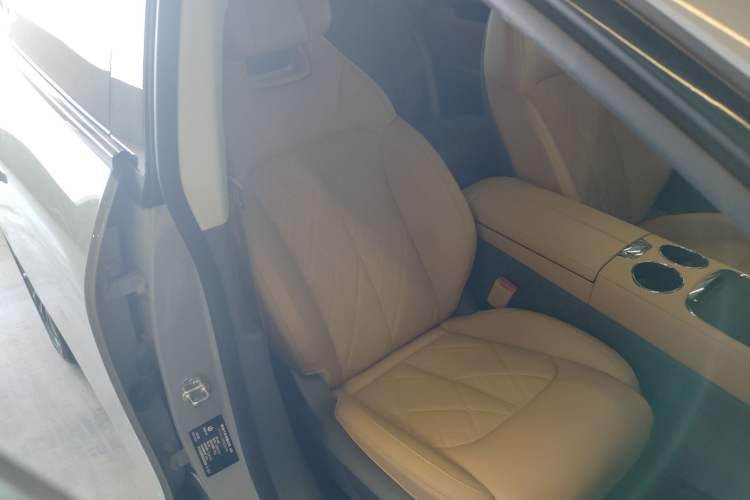 Used Leapmotor C01 2024 Pure Electric 525 Luxury Edition Right Front Seat