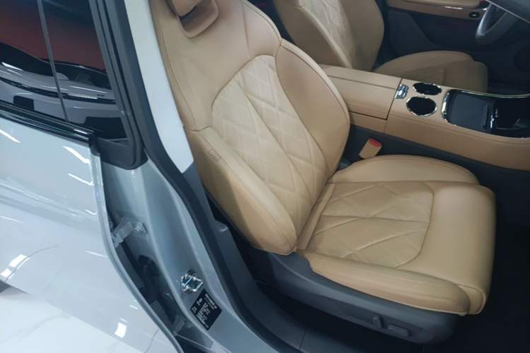 Used Leapmotor C01 2024 Pure Electric 525 Luxury Edition Right Front Seat