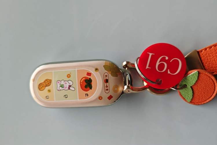 Used Leapmotor C01 2024 Range-Extended 216 Luxury Edition Vehicle Key