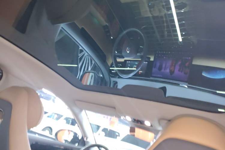 Used Leapmotor C01 2024 Pure Electric 525 Luxury Edition Headliner