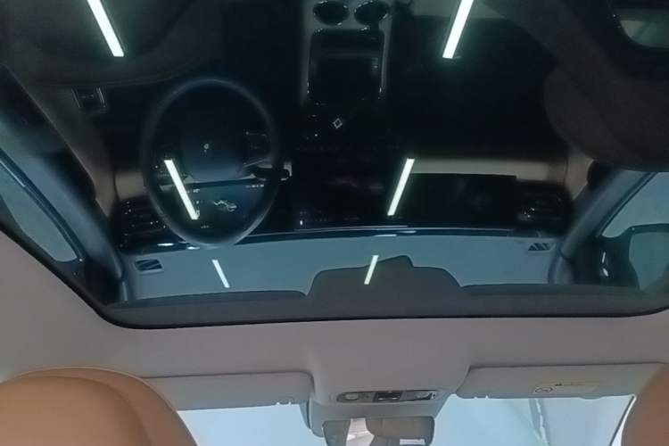 Used Leapmotor C01 2024 Pure Electric 525 Luxury Edition Headliner