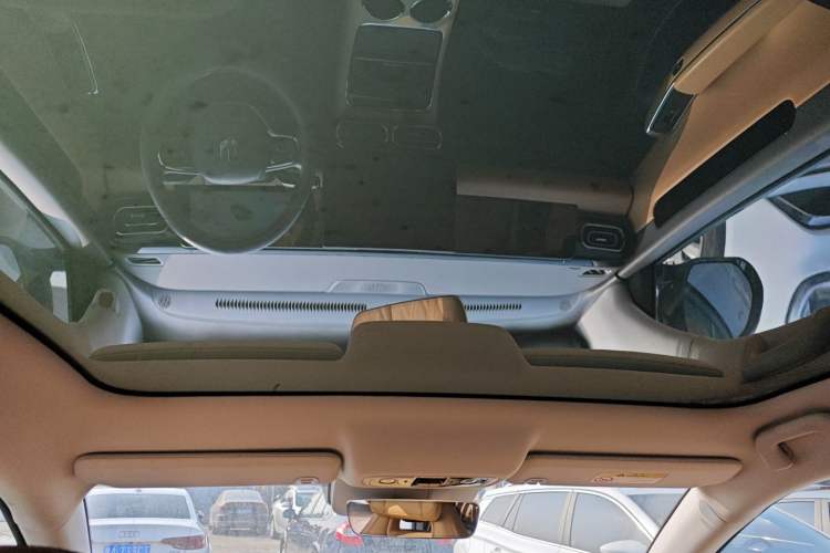 Used Leapmotor C01 2024 Pure Electric 525 Luxury Edition Headliner