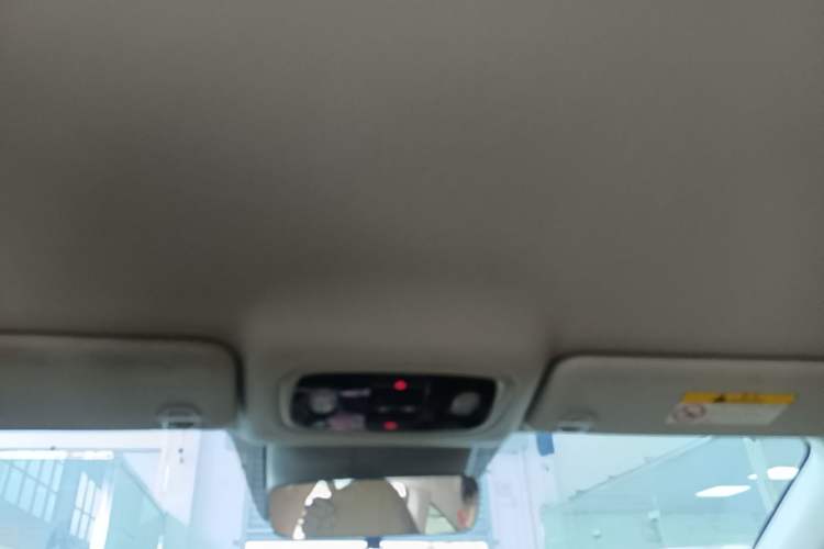 Used Leapmotor C01 2024 Pure Electric 525 Comfort Edition Headliner