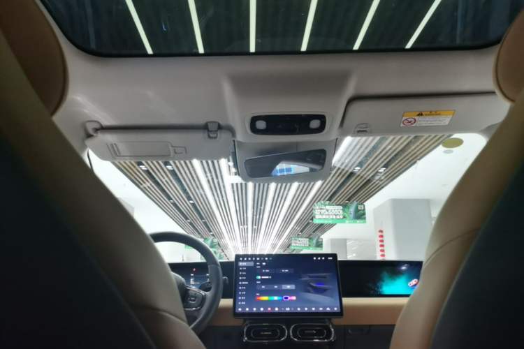 Used Leapmotor C01 2024 Pure Electric 525 Luxury Edition Headliner