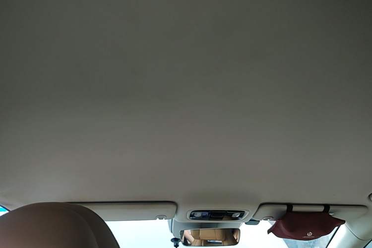Used Leapmotor C01 2024 All-Electric 625 Deluxe Edition Headliner