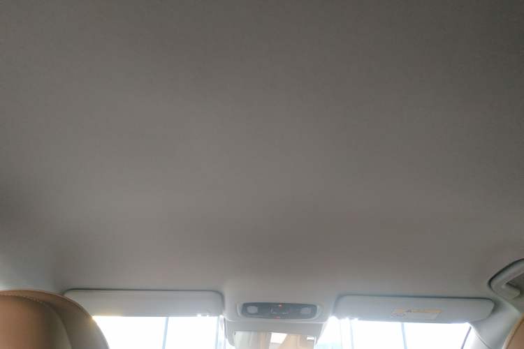 Used Leapmotor C01 2024 Range-Extended 316 Deluxe Edition Headliner