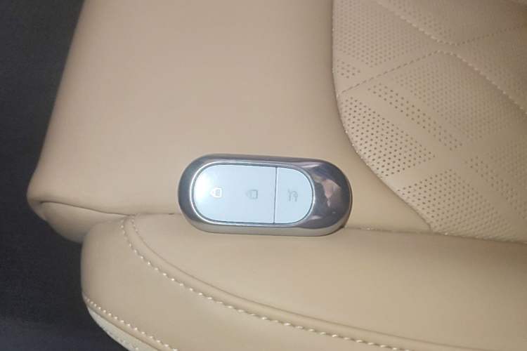 Used Leapmotor C01 2024 Pure Electric 525 Luxury Edition Interior 1