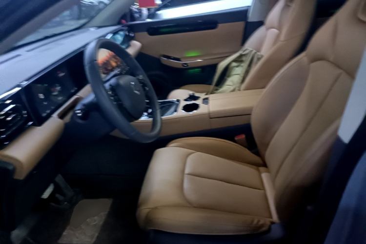 Used Leapmotor C01 2024 Pure Electric 525 Luxury Edition Left Front Seat