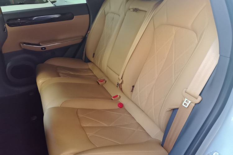 Used Leapmotor C01 2024 Pure Electric 525 Luxury Edition Left Rear Seat