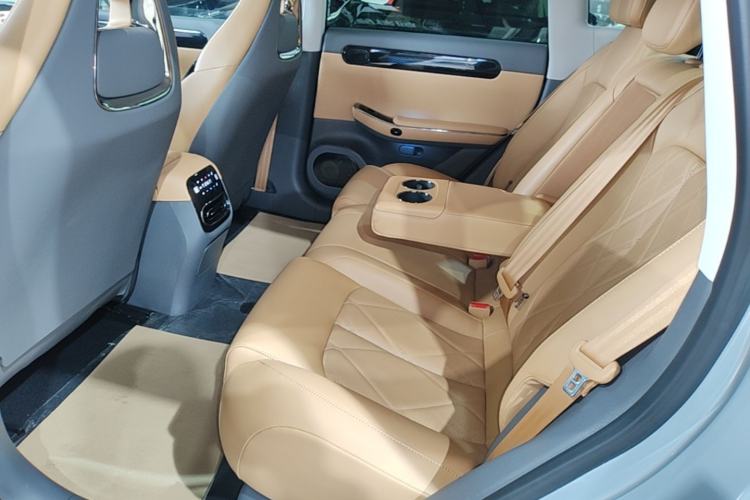 Used Leapmotor C01 2024 Range-Extended 316 Deluxe Edition Left Rear Seat