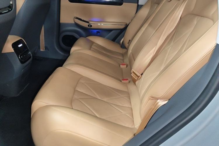 Used Leapmotor C01 2024 Pure Electric 525 Luxury Edition Left Rear Seat