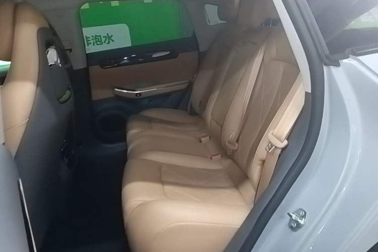 Used Leapmotor C01 2024 Pure Electric 525 Luxury Edition Left Rear Seat