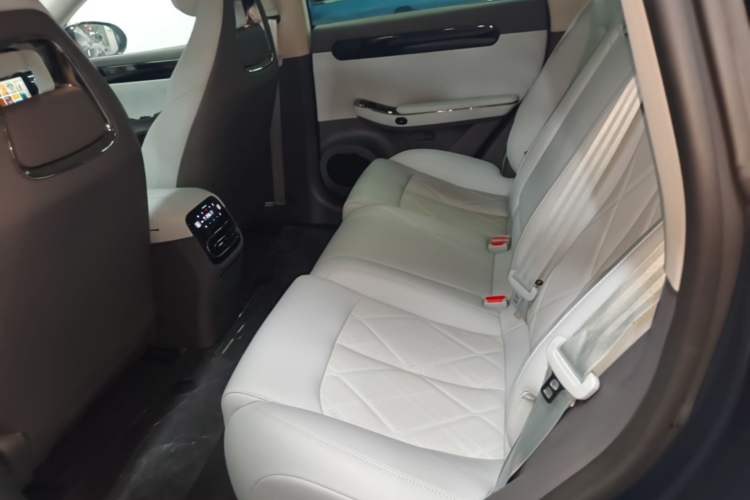 Used Leapmotor C01 2024 Range-Extended 316 Deluxe Edition Left Rear Seat