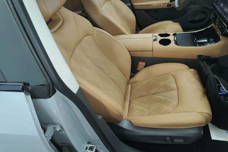 Used Leapmotor C01 2024 Pure Electric 525 Luxury Edition Right Front Seat