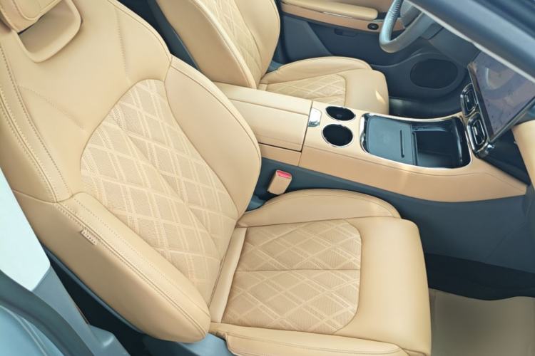 Used Leapmotor C01 2024 Pure Electric 525 Luxury Edition Right Front Seat