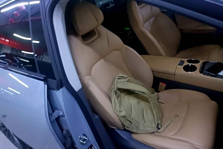 Used Leapmotor C01 2024 Pure Electric 525 Luxury Edition Right Front Seat
