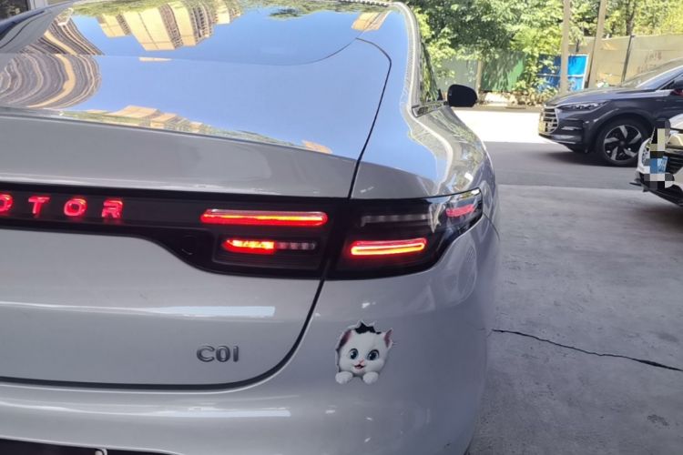 Used Leapmotor C01 2024 Pure Electric 525 Luxury Edition Right Rear Taillight