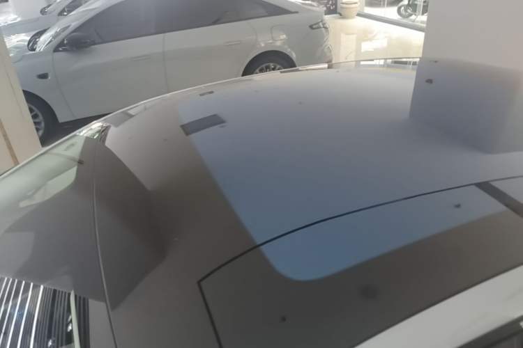 Used Leapmotor C01 2024 Pure Electric 525 Luxury Edition Roof
