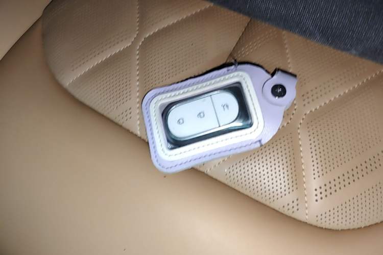 Used Leapmotor C01 2024 Pure Electric 525 Luxury Edition Vehicle Key