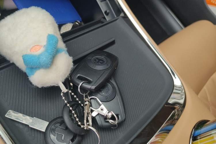 Used Leapmotor C01 2024 Range-Extended 316 Deluxe Edition Vehicle Key