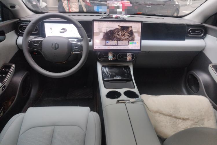 Used Leapmotor C01 2024 Range-Extended 216 Luxury Edition Center Console