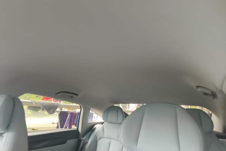 Used Leapmotor C01 2024 Pure Electric 525 Luxury Edition Headliner