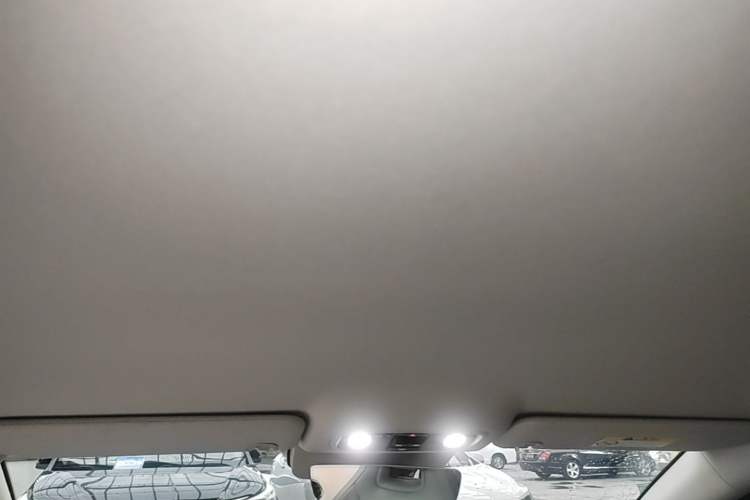 Used Leapmotor C01 2024 Pure Electric 525 Luxury Edition Headliner