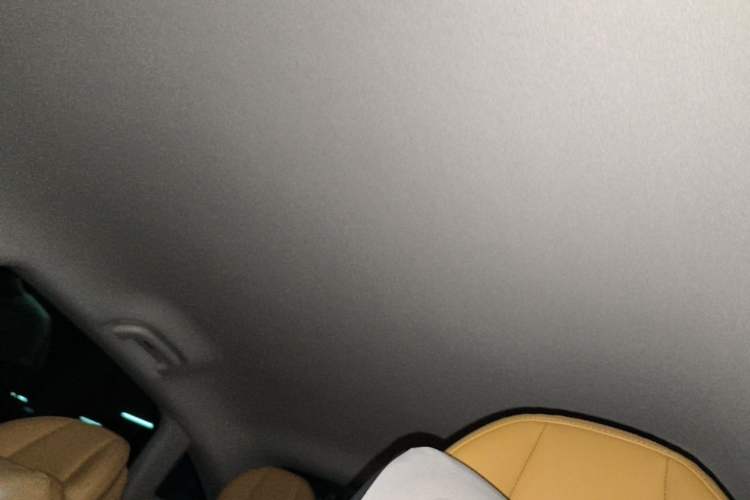 Used Leapmotor C01 2024 Pure Electric 525 Luxury Edition Headliner