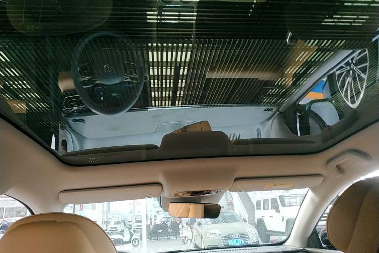 Used Leapmotor C01 2024 Pure Electric 525 Luxury Edition Headliner