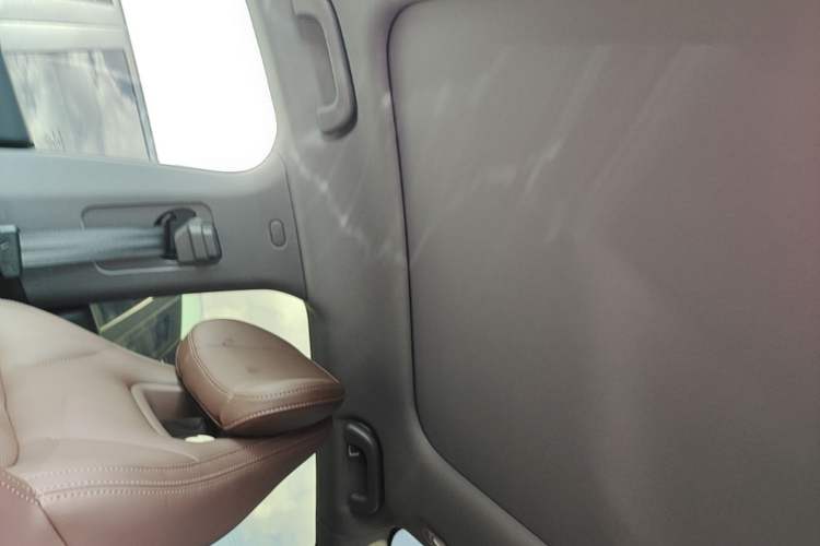 Used Leapmotor C01 2024 Pure Electric 525 Comfort Edition Headliner