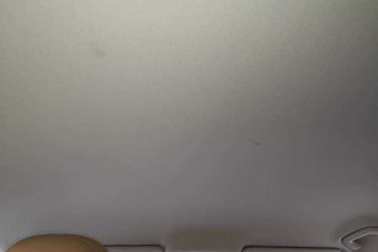 Used Leapmotor C01 2024 All-Electric 625 Deluxe Edition Headliner