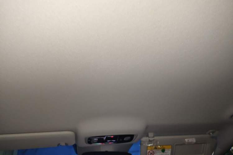 Used Leapmotor C01 2024 Pure Electric 525 Luxury Edition Headliner