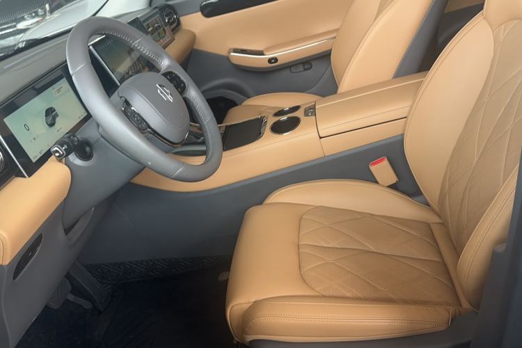 Used Leapmotor C01 2024 Pure Electric 525 Luxury Edition Left Front Seat