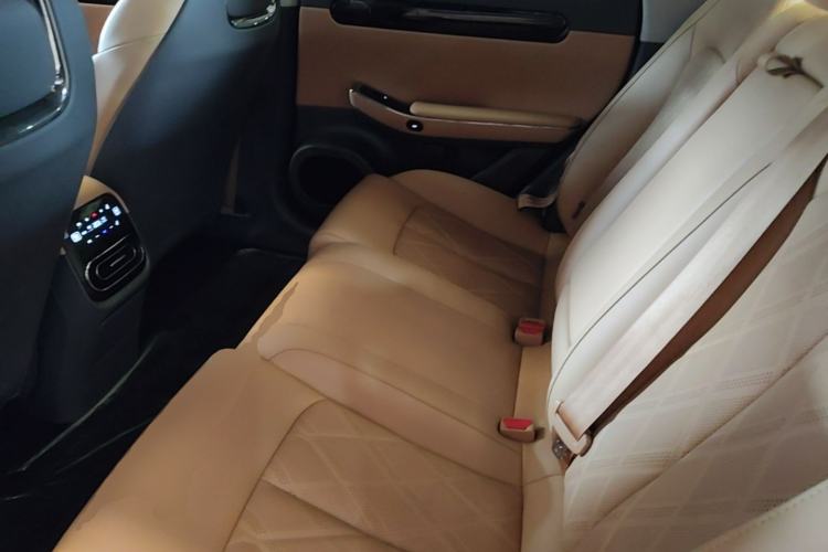 Used Leapmotor C01 2024 Pure Electric 525 Luxury Edition Left Rear Seat