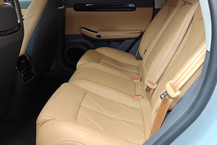 Used Leapmotor C01 2024 Pure Electric 525 Luxury Edition Left Rear Seat