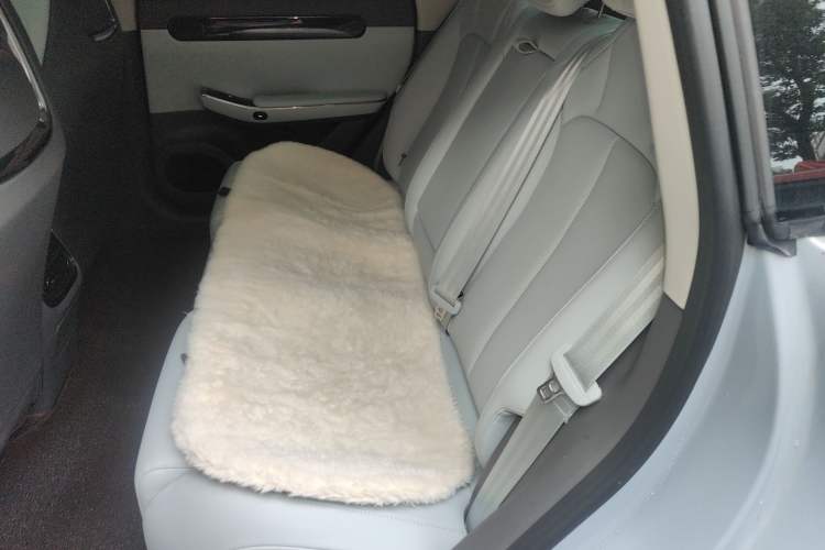 Used Leapmotor C01 2024 Range-Extended 216 Luxury Edition Left Rear Seat