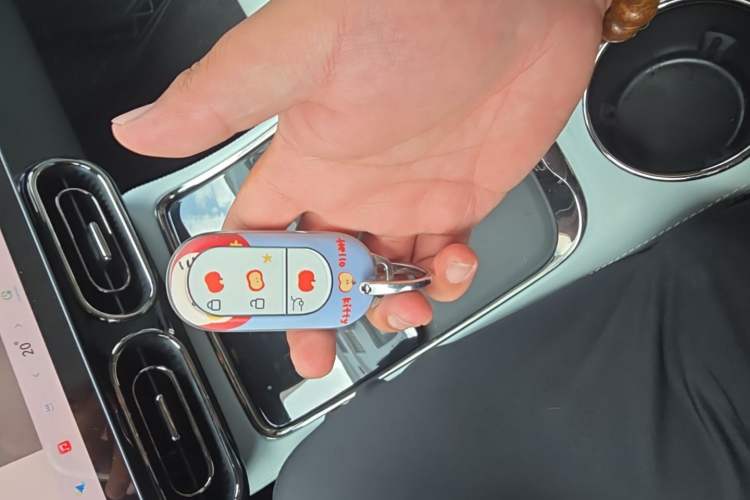 Used Leapmotor C01 2024 Range-Extended 316 Deluxe Edition Vehicle Key