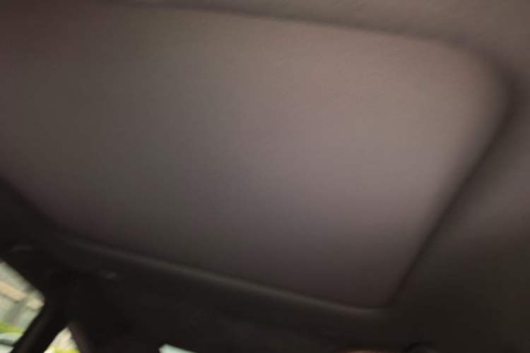 Used Leapmotor C01 2024 Pure Electric 525 Comfort Edition Headliner
