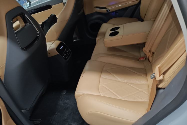 Used Leapmotor C01 2024 Pure Electric 525 Luxury Edition Left Rear Seat