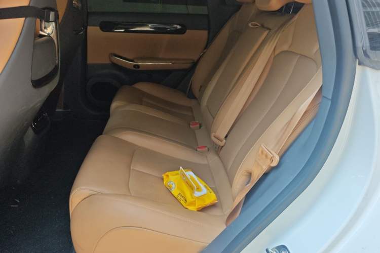 Used Leapmotor C01 2024 Pure Electric 525 Luxury Edition Left Rear Seat