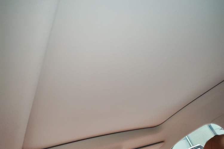 Used Leapmotor C10 2024 210 Smart Edition Headliner