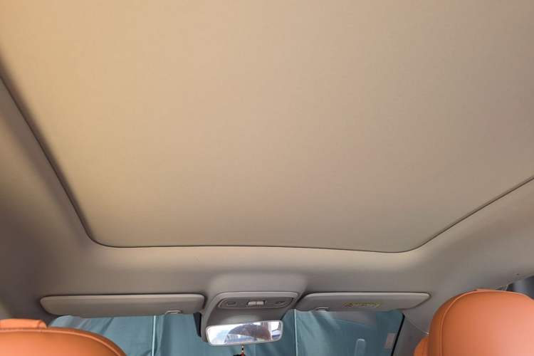 Used Leapmotor C10 2024 210 Smart Edition Headliner