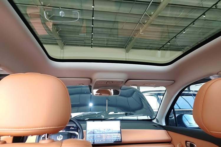 Used Leapmotor C10 2024 210 Smart Edition Headliner