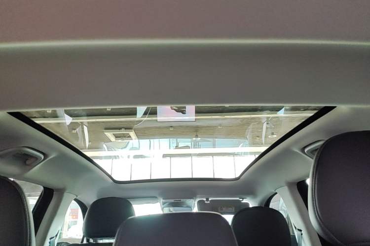 Used Leapmotor C10 2024 530 Smart Edition Headliner