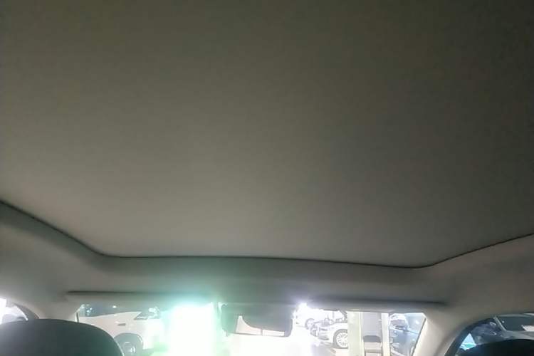 Used Leapmotor C10 2024 530 Smart Edition Headliner