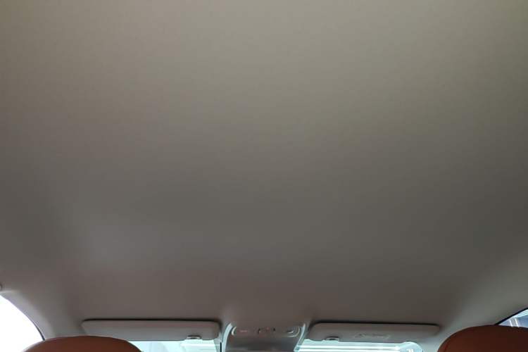 Used Leapmotor C10 2024 530 Comfort Edition Headliner