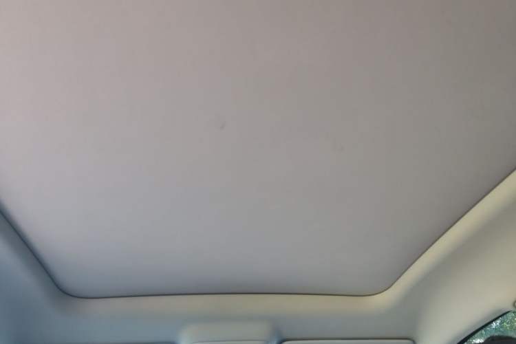 Used Leapmotor C10 2024 530 Smart Edition Headliner